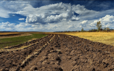 Modern approaches to sustainable land management