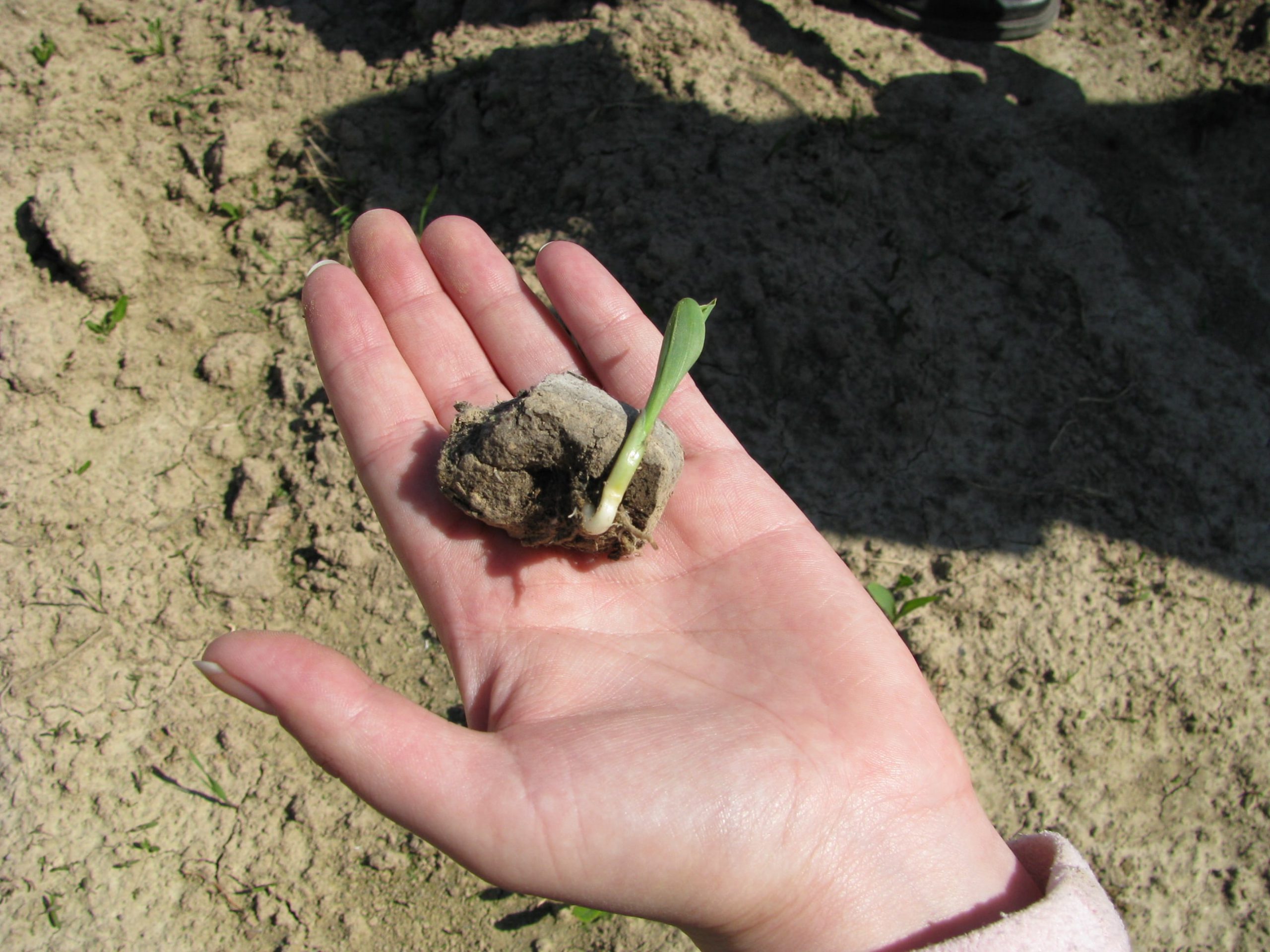 Карякин_Осадок фото-1-min