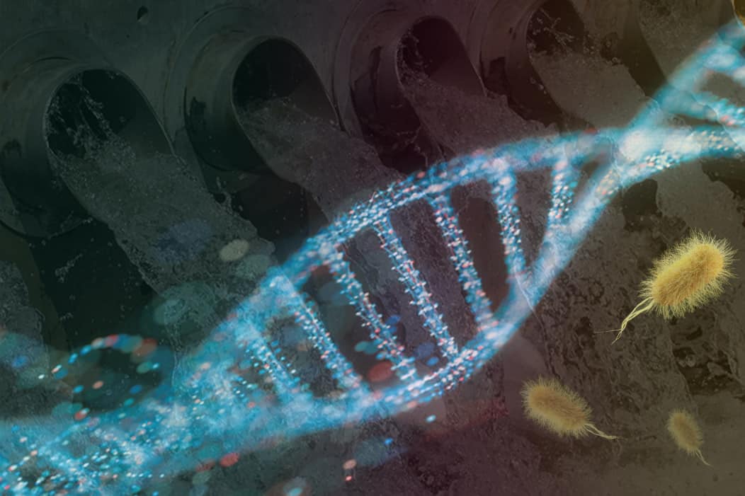 Краснов_BIOINFORMATICSOF WASTEWATER_???