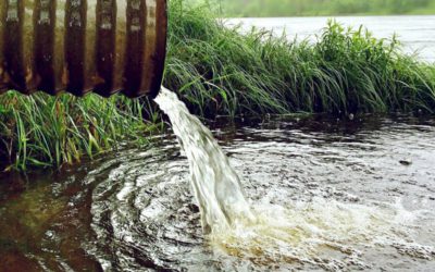 How to evaluate the hazard of organic compounds in water?