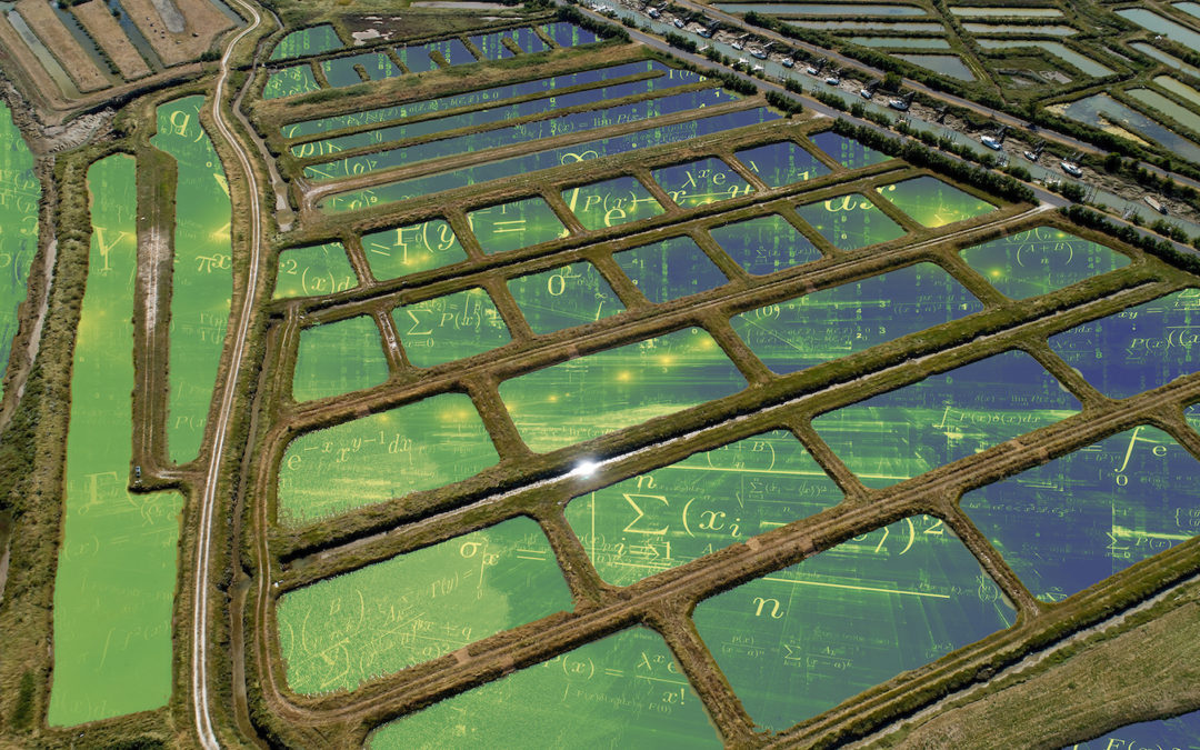 Automated monitoring of aquaculture facilities in Bali