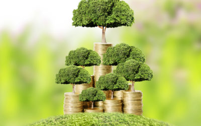 Cleaning soil and water by planting makes a profit