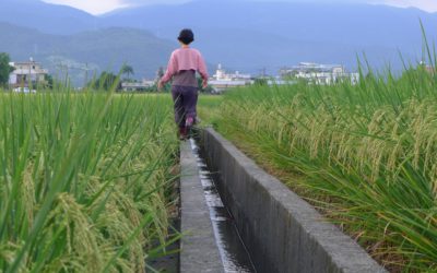 Modern wastewater treatment plants are not always economically efficient