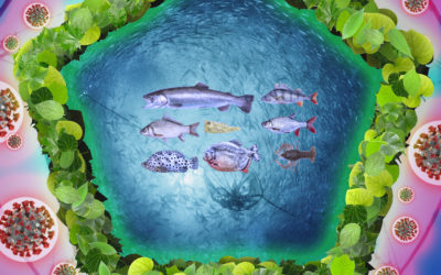 Fighting viruses using plants