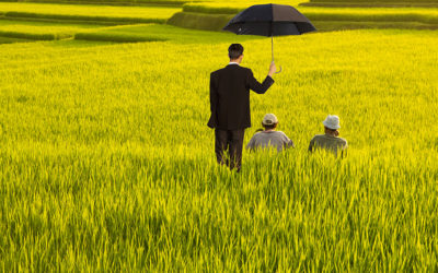 Risk and Opinion Analysis Improves Agricultural Insurance in Bali