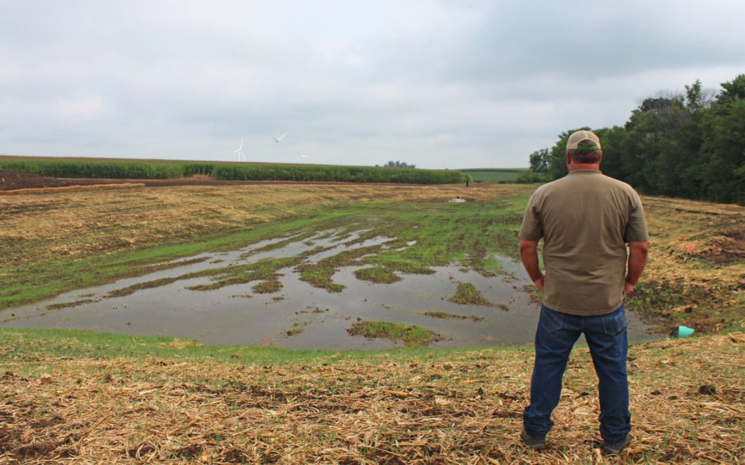 Incentives to treat wastewater