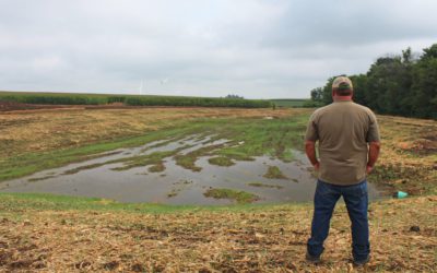 Incentives to treat wastewater