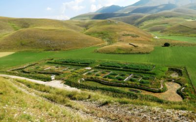 Pig farm drains, a potential source of viruses, can be treated with constructed wetlands