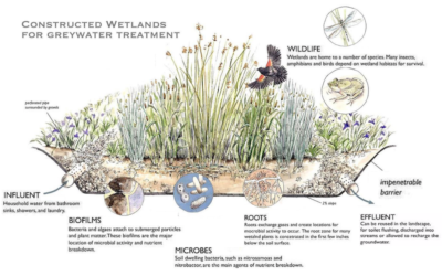 Thematic seminars on Treatment Wetland Systems