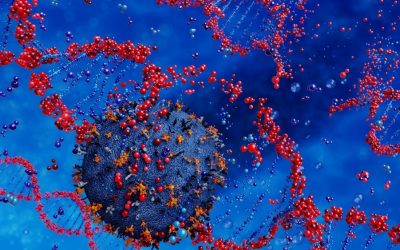 Constructed Wetland Kills Viruses