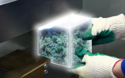 Environment Impact Assessment Principles is the key to the successful implementation of any project