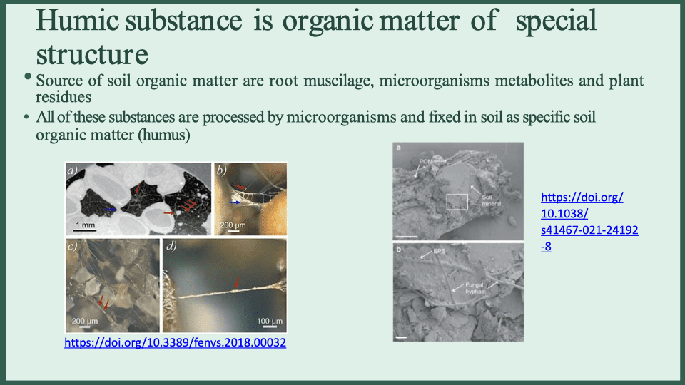 The mechanism of action of humic substances at the level of soil microparticles_13.01.2022_KR.pdf (1).001